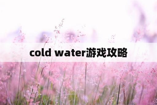 cold water游戏攻略